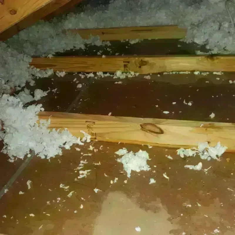 Attic Water Damage in Albion, MI