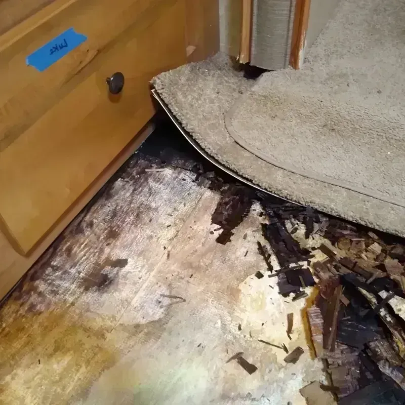 Wood Floor Water Damage in Albion, MI